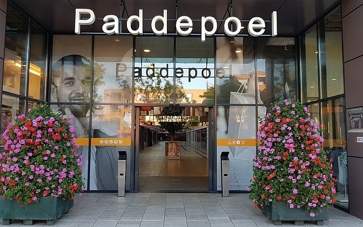 Paddepoel