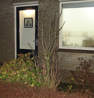 Raamgalerie De Prachtvink