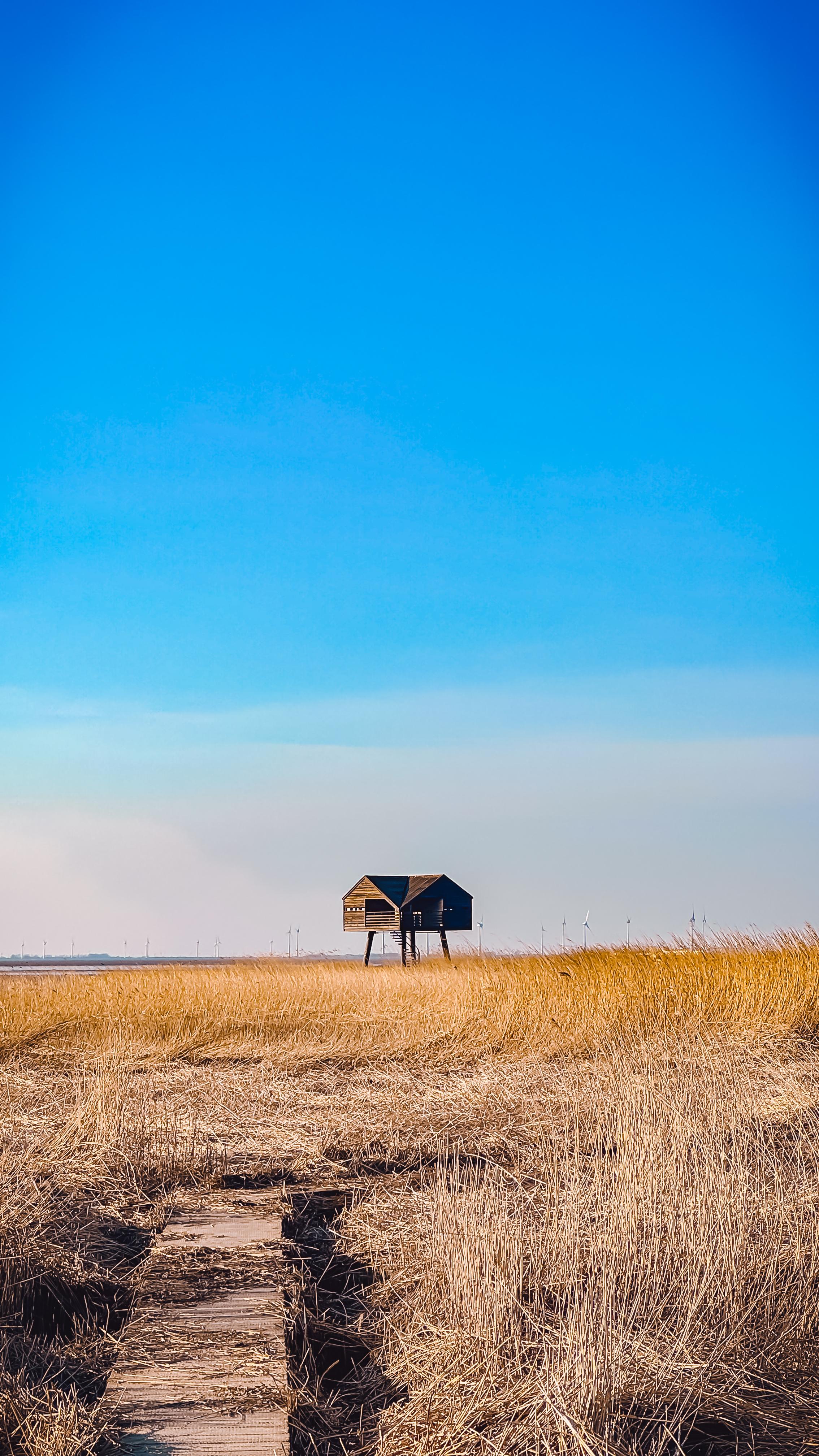 Vogelkijkhut Kiekkaaste