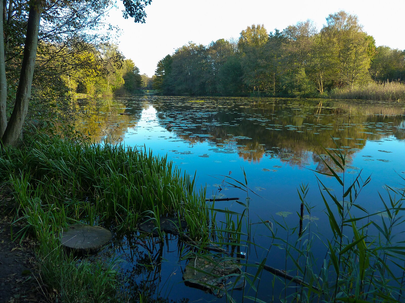 Stadspark Winschoten