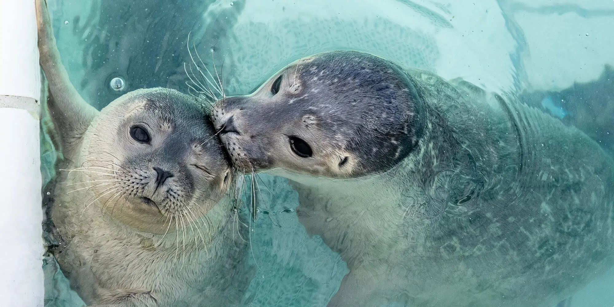 WEC Werelderfgoedcentrum Waddenzee Lauwersoog